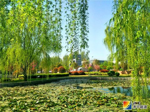 【特别关注】阳城煤电打造“儒风家韵  美丽阳城”家文化