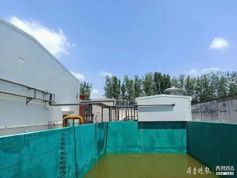 1625715252804189.jpg 1625715252804189.jpg