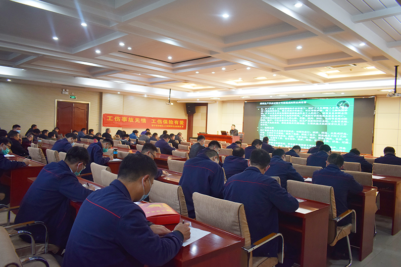 1638257422885372.jpg 100.jpg