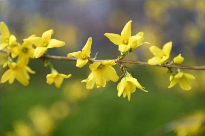 1681180394610617.jpg 微信截图_20230411103146.jpg