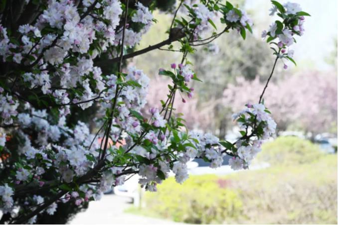 1681180409393602.jpg 微信截图_20230411103210.jpg