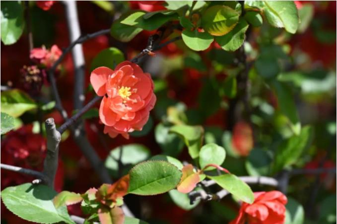 1681180417869015.jpg 微信截图_20230411103221.jpg