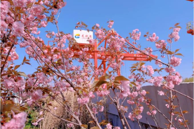 1681261949332757.jpg 微信截图_20230412091033.jpg