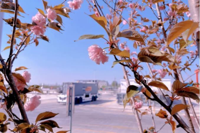 1681261957820100.jpg 微信截图_20230412091046.jpg