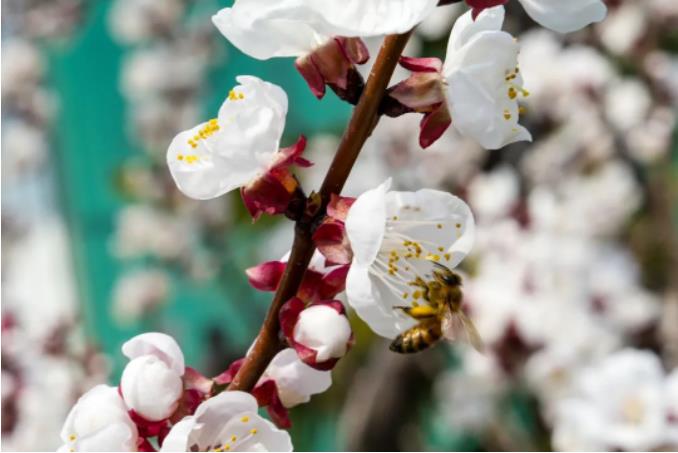 1681520848493800.jpg 微信截图_20230415090600.jpg