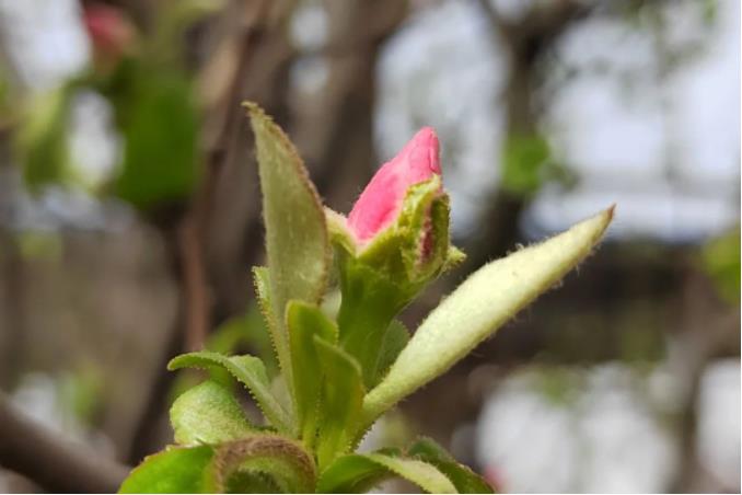 1681520862582877.jpg 微信截图_20230415090626.jpg