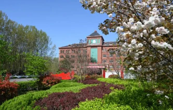 1688811095319498.jpg 640 (6).jpg