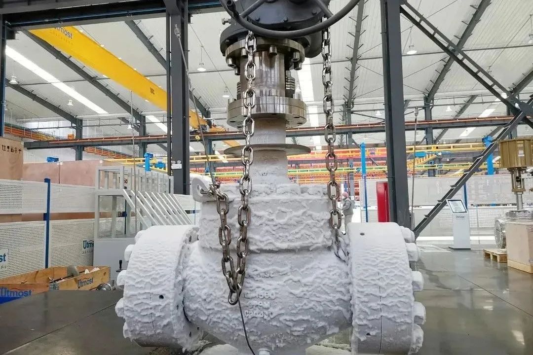 1702346032796346.jpg 640 (5).jpg