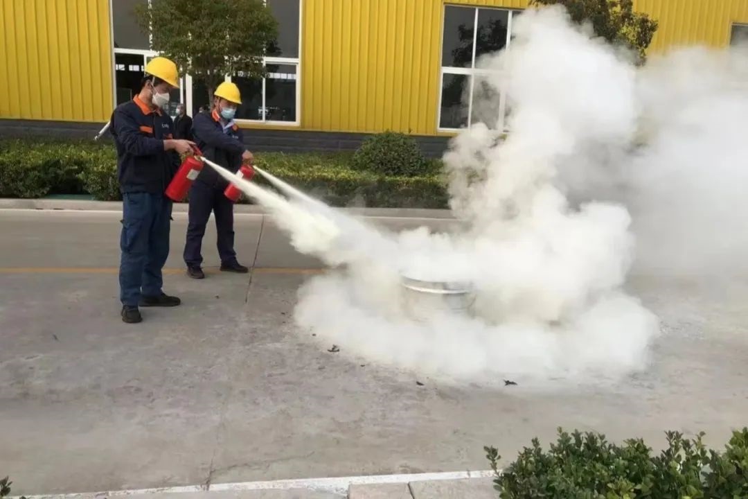 1706518206799057.jpg 003.jpg