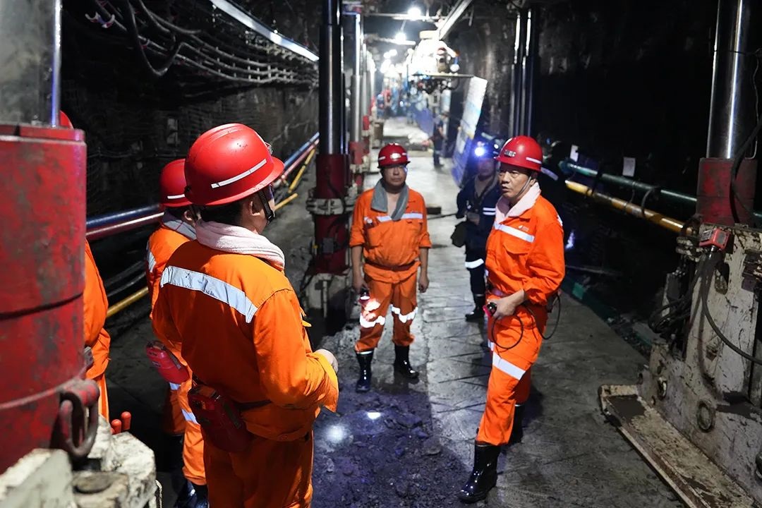 1725002529985729.jpg 0005.jpg