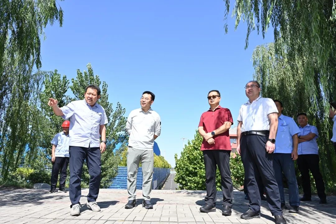 1729735891661914.jpg 00005.jpg