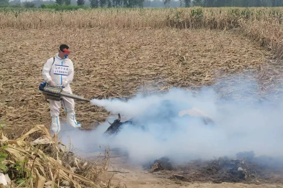 1729736157120790.jpg 00002.jpg