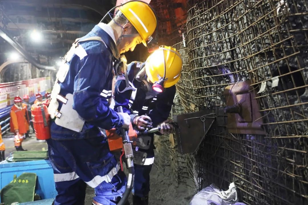 1729929092105694.jpg 0003.jpg