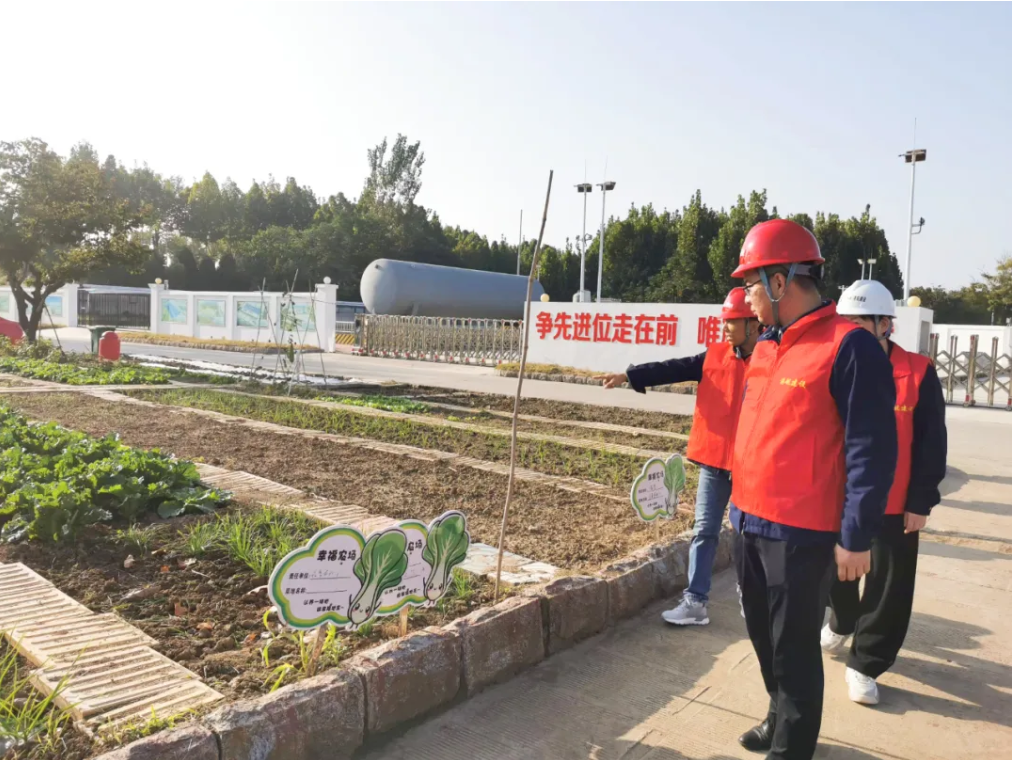 1732694287131234.png 1732694267597.png