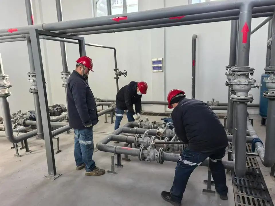 1733642947444475.jpg 0001.jpg