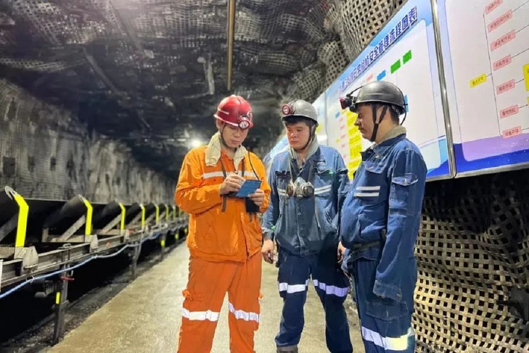 1734835398252510.jpg 0004.jpg