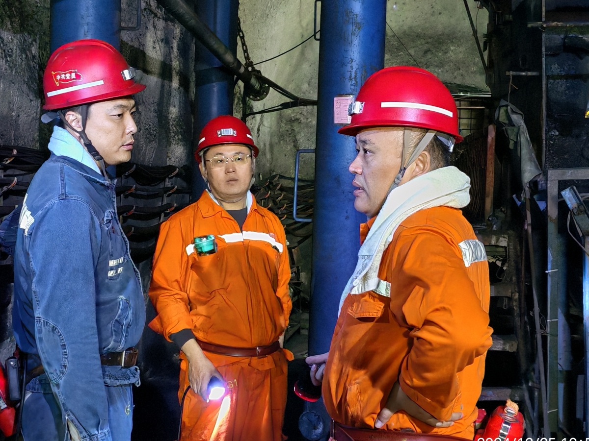 1735299526380831.jpg 17.jpg