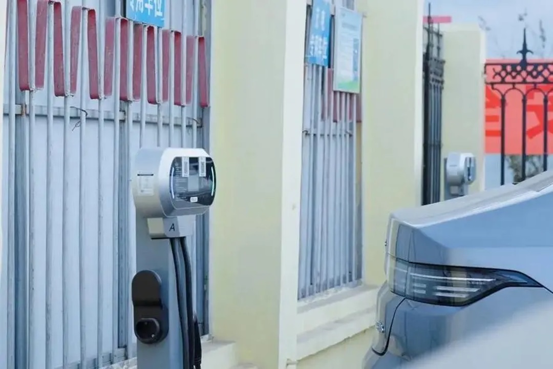 1737357179694102.jpg 0005.jpg