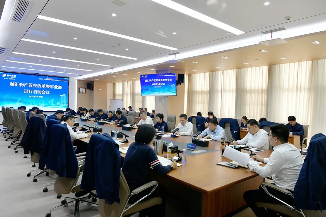 1740127725968645.jpg 0019.jpg