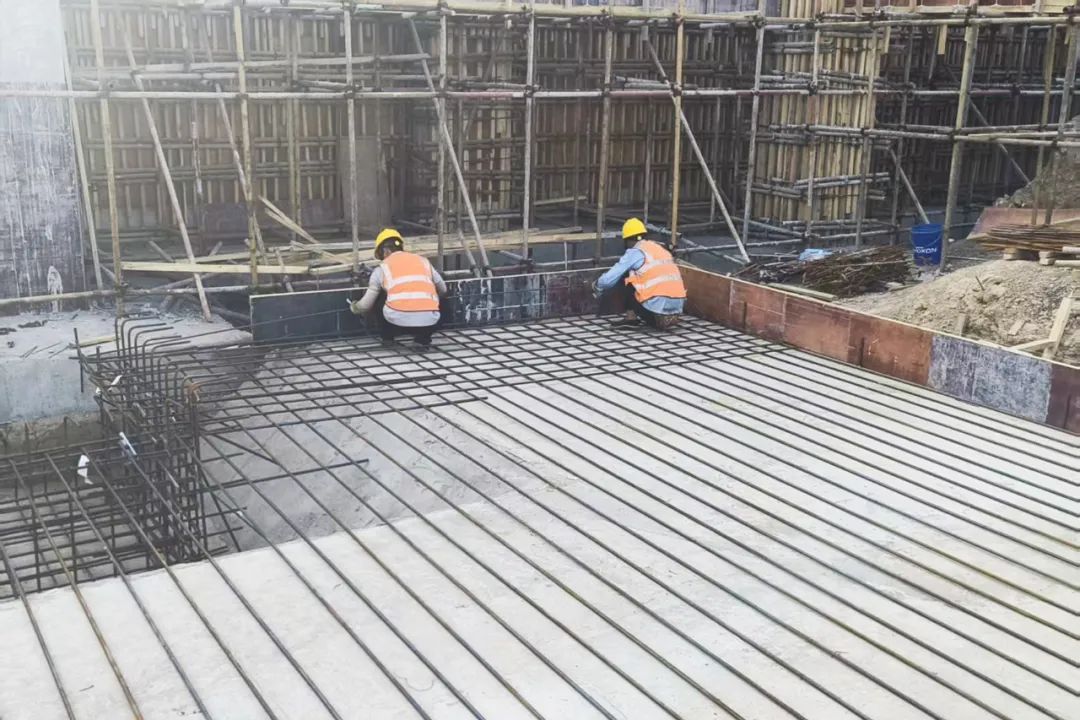 1746515593753486.jpg 41.jpg