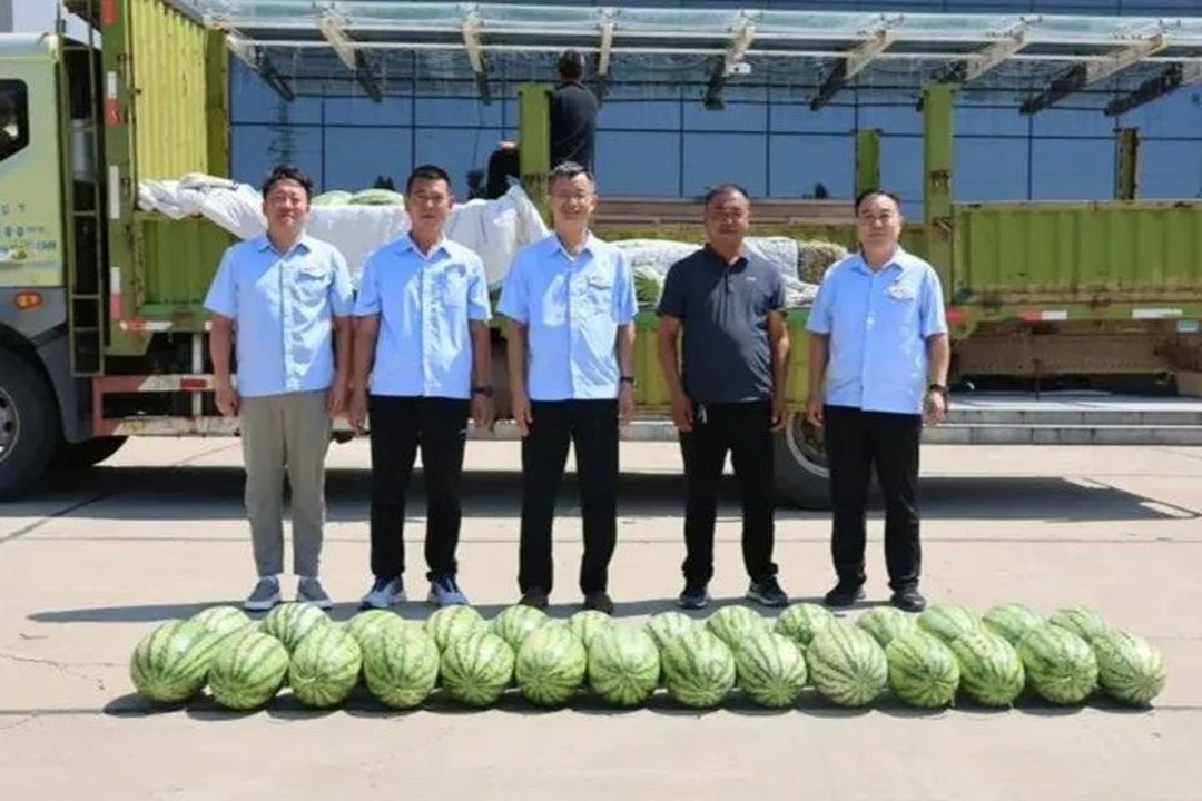 1753150766864981.jpg 0009.jpg