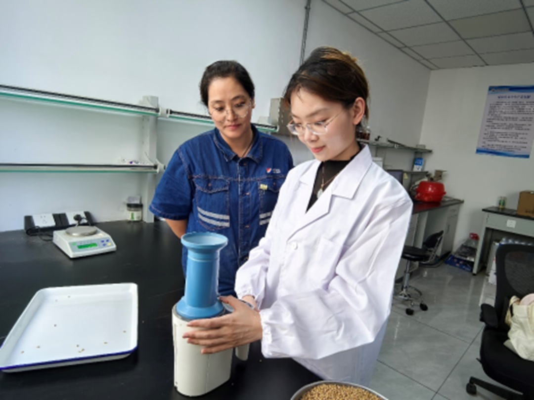 1757643423731109.jpg 01.jpg